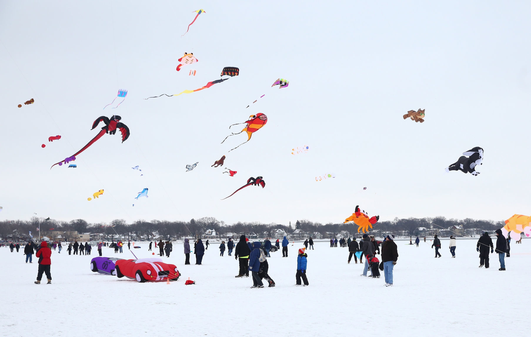 Color the Wind 20
